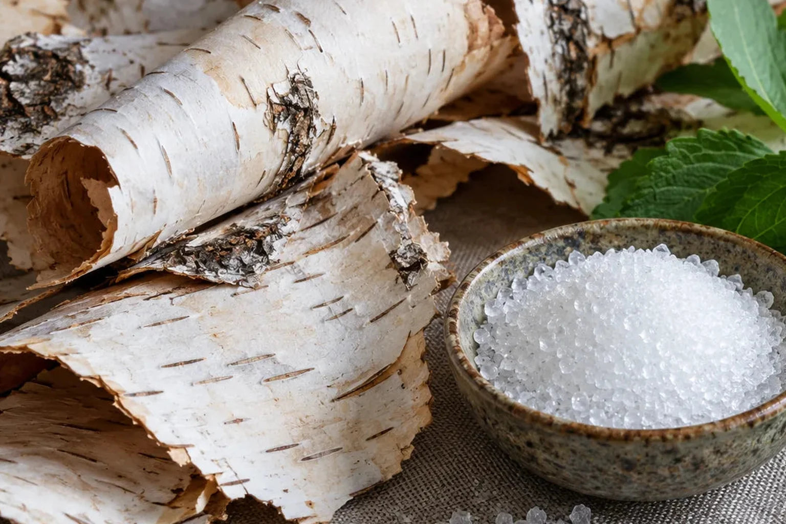 Curls of birch bark and mint leaves beside a bowl of xylitol crystals